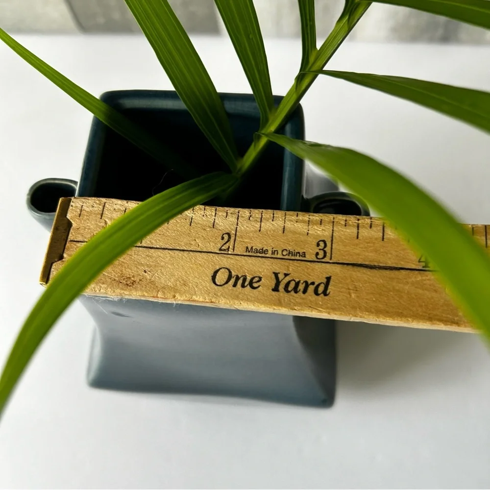 🌴 Elegant West Elm One-of-a-Kind Rare Serene Jade Blue Ceramic Vase